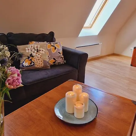 شقة Przy Promenadzie Mieszkania W Scislym Centrum *