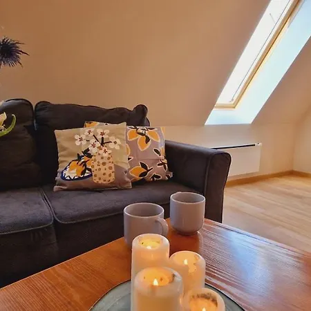 Przy Promenadzie Mieszkania W Scislym Centrum *